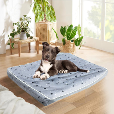 Blue and white dog bed best sale